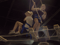 Highslide JS